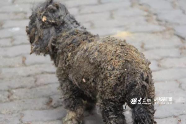 突發！青島一居民樓發生爆燃！已造1人死亡，7人受傷！3公里外有震感…